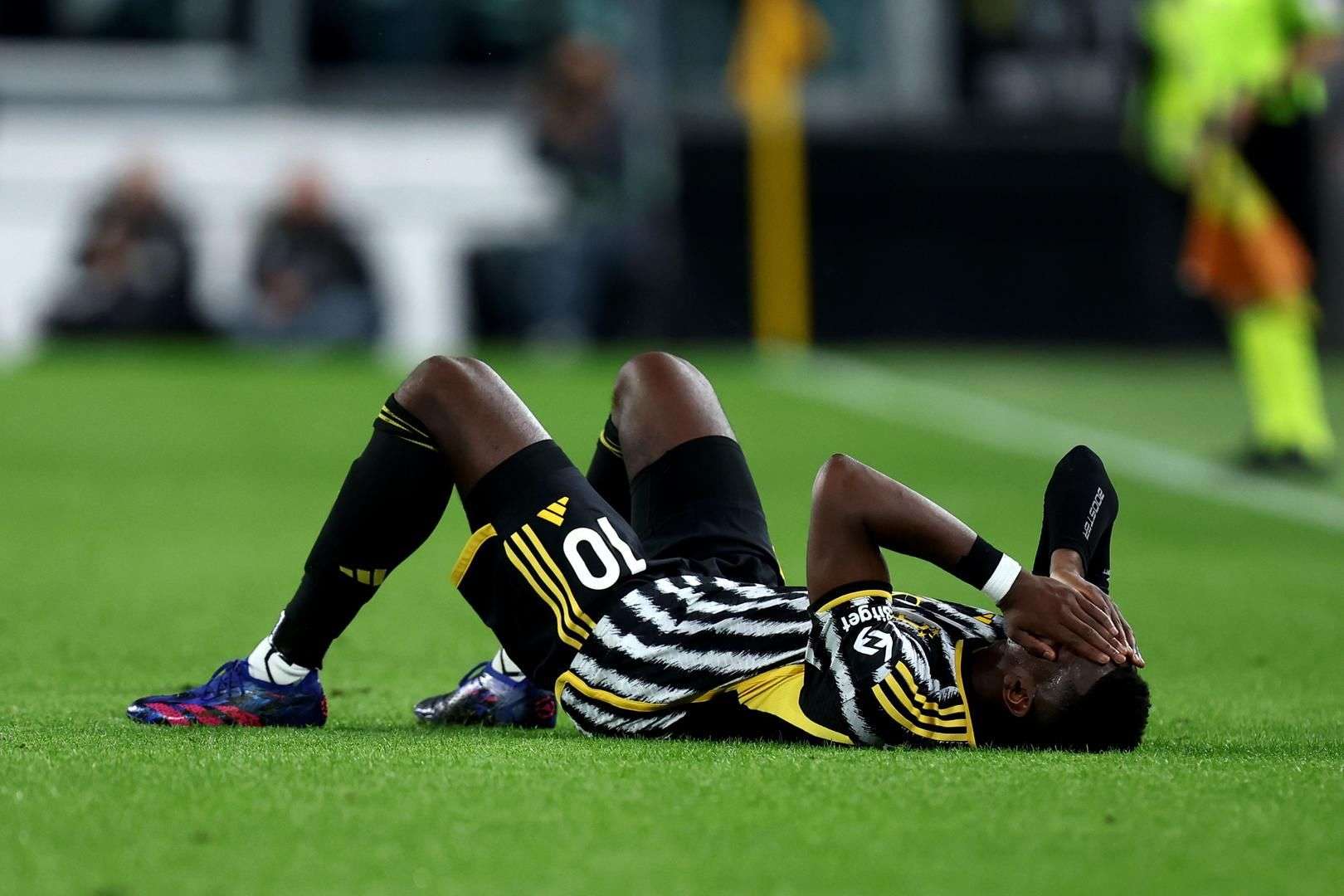 拉菲尼亚的 拉菲尼亚的