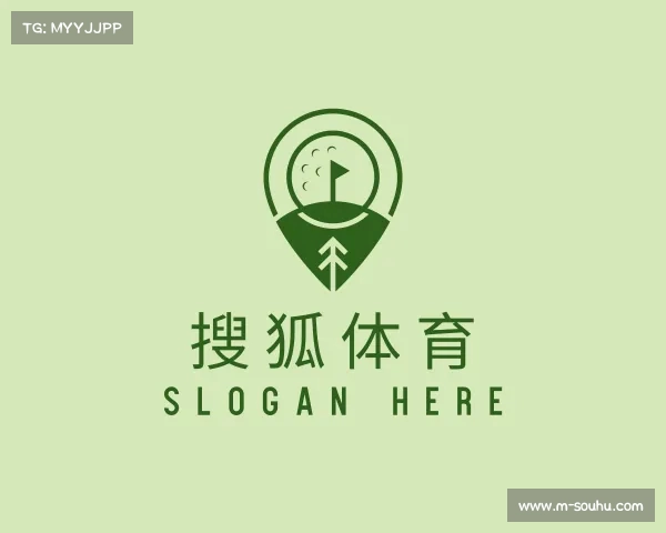 关于搜狐体育